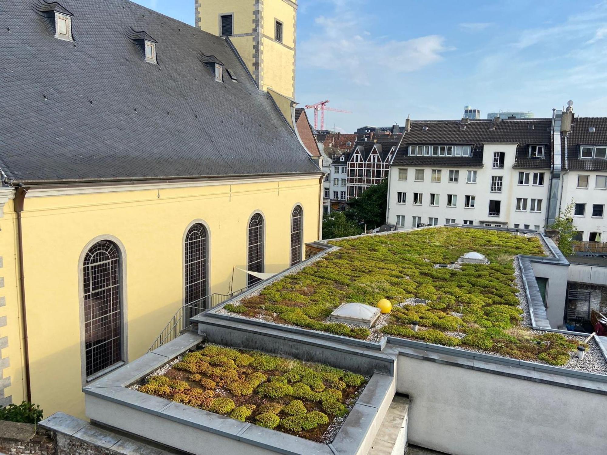 Oldtown Apartment Andreasstrasse Düsseldorf Kültér fotó